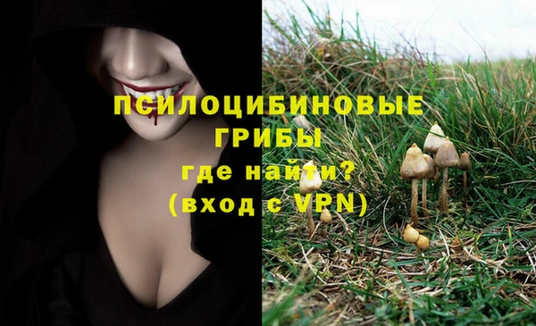 бошки Алексин