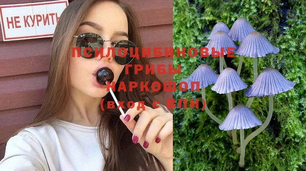 дурь Алексеевка
