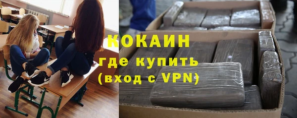 бошки Алексин