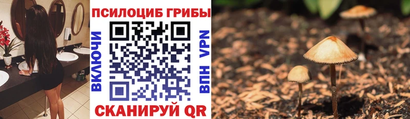наркота  Заволжск  Галлюциногенные грибы мухоморы 